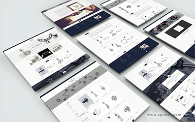 Suri Silver Website